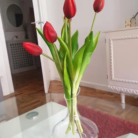 Contrastes Ribeira Sacra